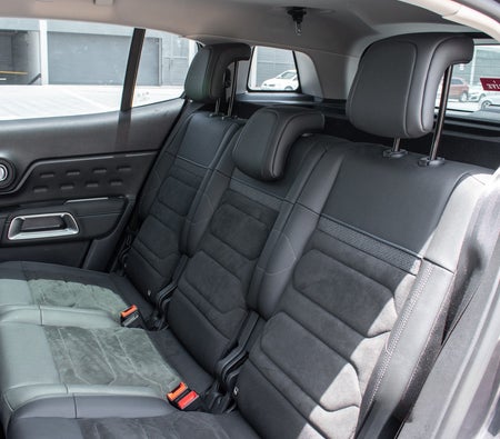 Gray Citroen C5 2025