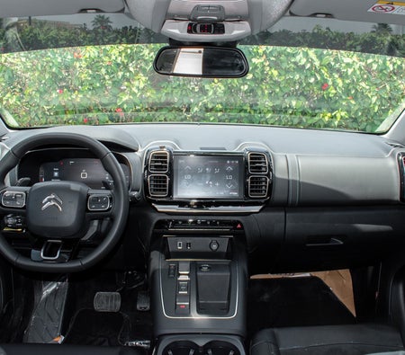 Gray Citroen C5 2025