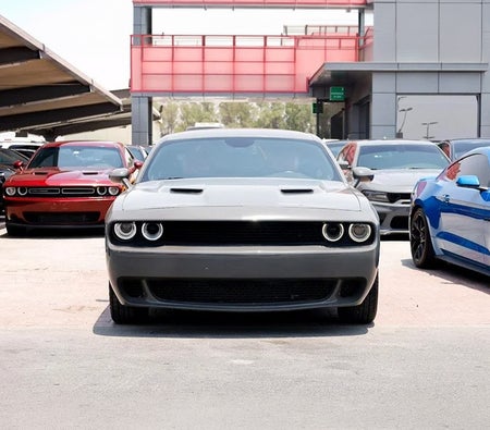 Dodge Challenger SXT Plus 2019, photo 2 of 4