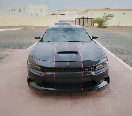 Черный Dodge Charger GT 2019 год