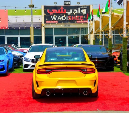 Giallo Dodge Charger SXT 2022 Giallo Dodge Charger SXT 2022