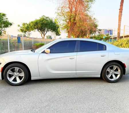 Silber Dodge Charger SXT 2019