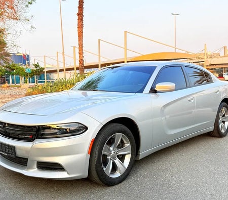 Silber Dodge Charger SXT 2019