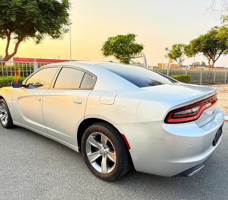 Silber Dodge Charger SXT 2019