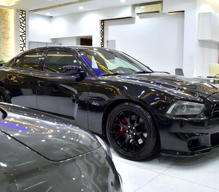 Dodge Charger SRT8 2013, photo 3 of 4