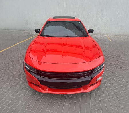 Dodge Charger V6 2023, photo 2 of 4