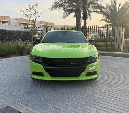 Green Dodge Charger V6 2023