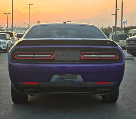 Dodge Challenger SXT 2019, photo 4 of 4