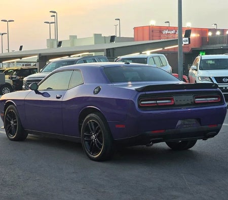 Violett Dodge Challenger SXT 2019