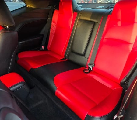 Dodge Challenger SXT 2019, photo 4 of 4