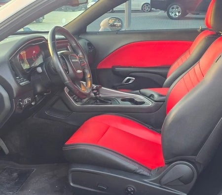 Dodge Challenger SXT 2019, photo 3 of 4