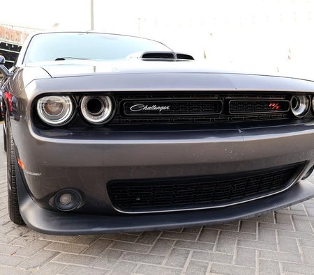 Dodge Challenger Scat Pack 2019, photo 4 of 4