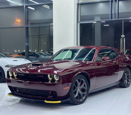  Dodge Challenger R/T 2019