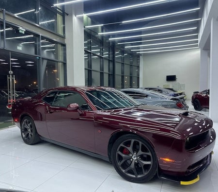  Dodge Challenger R/T 2019