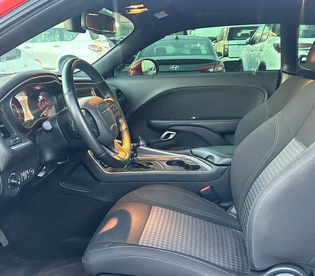 Dodge Challenger SXT 2020, photo 4 of 4