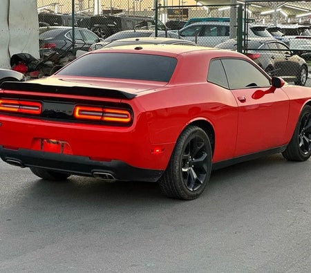 Orange Dodge Challenger SXT 2020