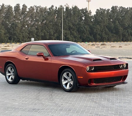 Dodge Challenger 2020, photo 3 of 4