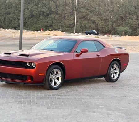 Dodge Challenger 2020, photo 4 of 4