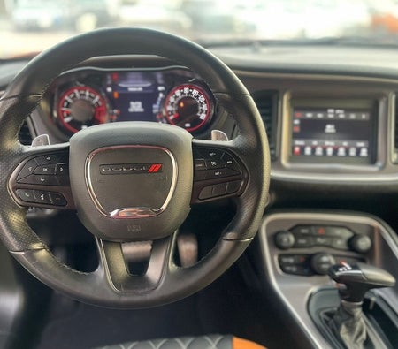 谭 Dodge 挑战者 R/T Plus 2021