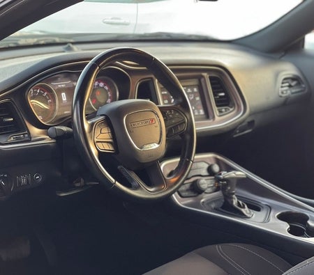 Dodge Challenger SXT 2021, photo 3 of 4