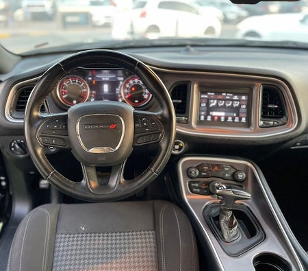 Dodge Challenger SXT 2021, photo 4 of 4