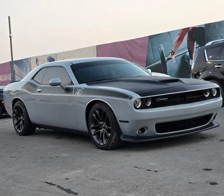 Dodge Challenger R/T Plus 2021, photo 4 of 4