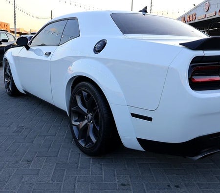 Dodge Challenger R/T 2021, photo 4 of 4