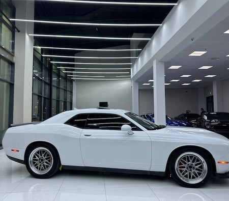 Blanc Dodge Challenger R/T Plus 2021