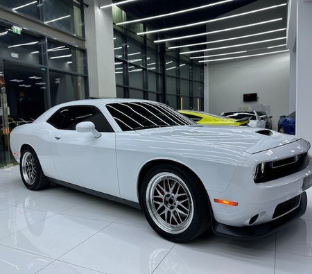 Blanc Dodge Challenger R/T Plus 2021