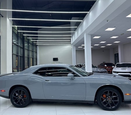 Grau Dodge Challenger SXT 2021