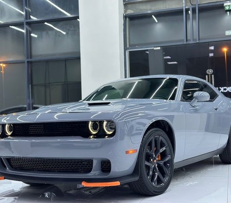 Grau Dodge Challenger SXT 2021