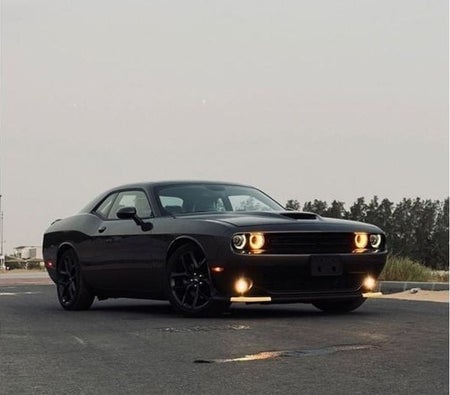 Dodge Challenger 2022, photo 2 of 4
