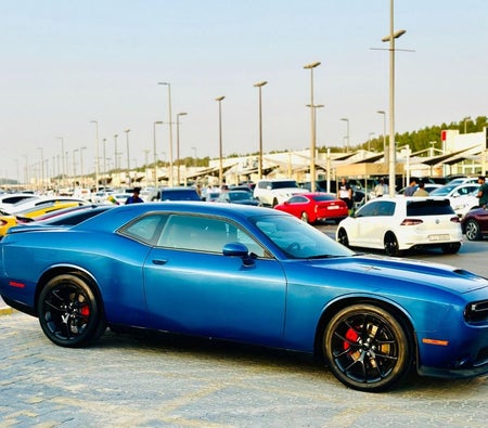 Dodge Challenger  2022, photo 4 of 4