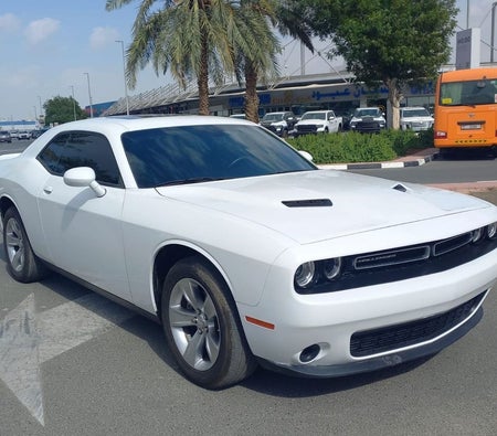 Dodge Challenger 2022, photo 2 of 4