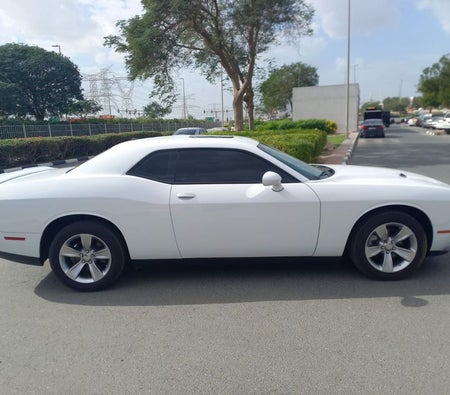 Dodge Challenger 2022, photo 4 of 4