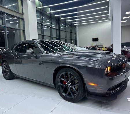 Grijs Dodge Challenger R/T 2022