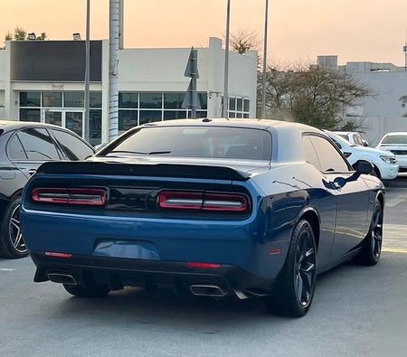 Dodge Challenger R/T 2023, photo 4 of 4
