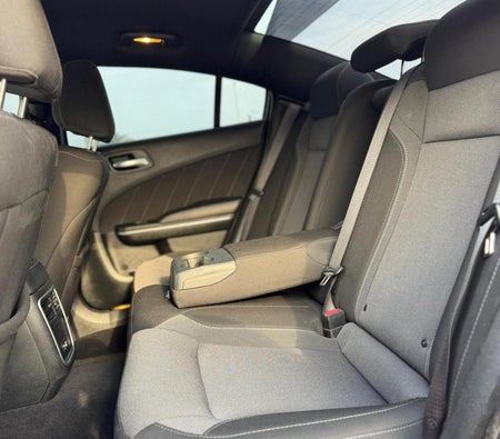 红色的 Dodge 充电器V6 2022 红色的 Dodge 充电器V6 2022