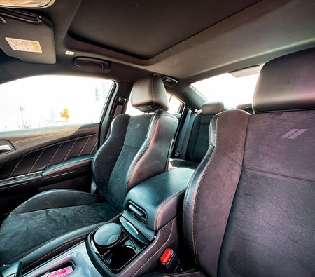 Dodge Charger V6 2023