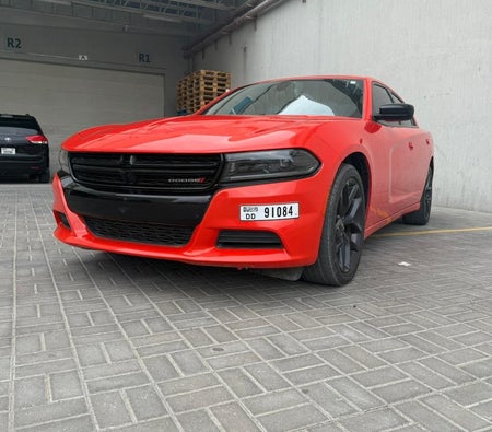 Dodge Charger V6 2023, photo 3 of 4