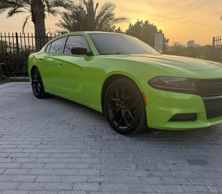 Green Dodge Charger V6 2023