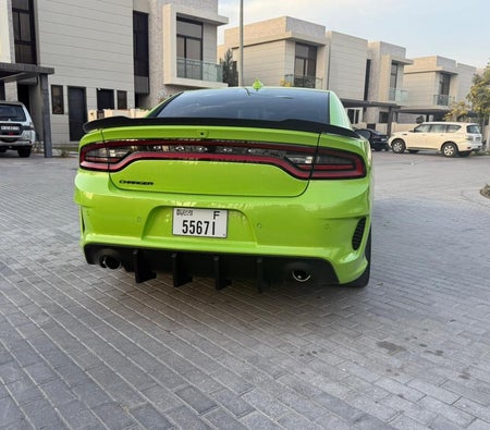 Green Dodge Charger V6 2023