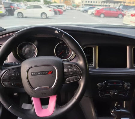 Dodge Charger V6 2023, photo 3 of 4