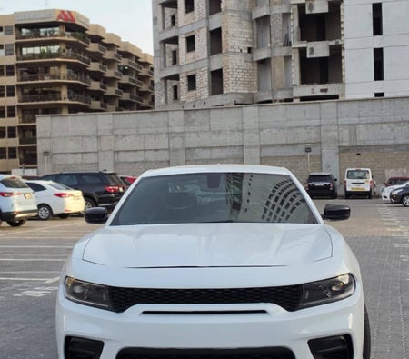 Dodge Charger V6 2023, photo 2 of 4