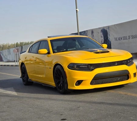 Dodge Charger R/T 2017, photo 3 of 4