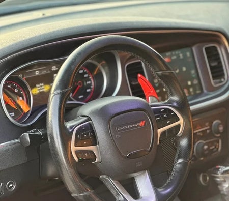Dodge Charger R/T 2018, photo 3 of 4