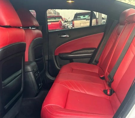 Dodge Charger R/T 2018, photo 4 of 4