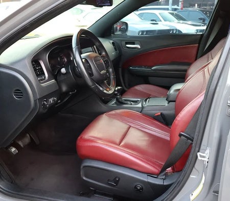 Dodge Charger R/T 2018, photo 3 of 4