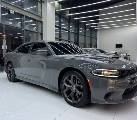 Grijs Dodge Charger R/T 2018
