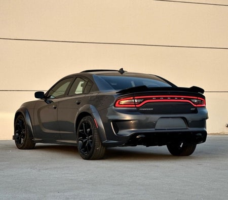 Gray Dodge Charger 2019